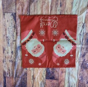 NWOT Pillow Cover